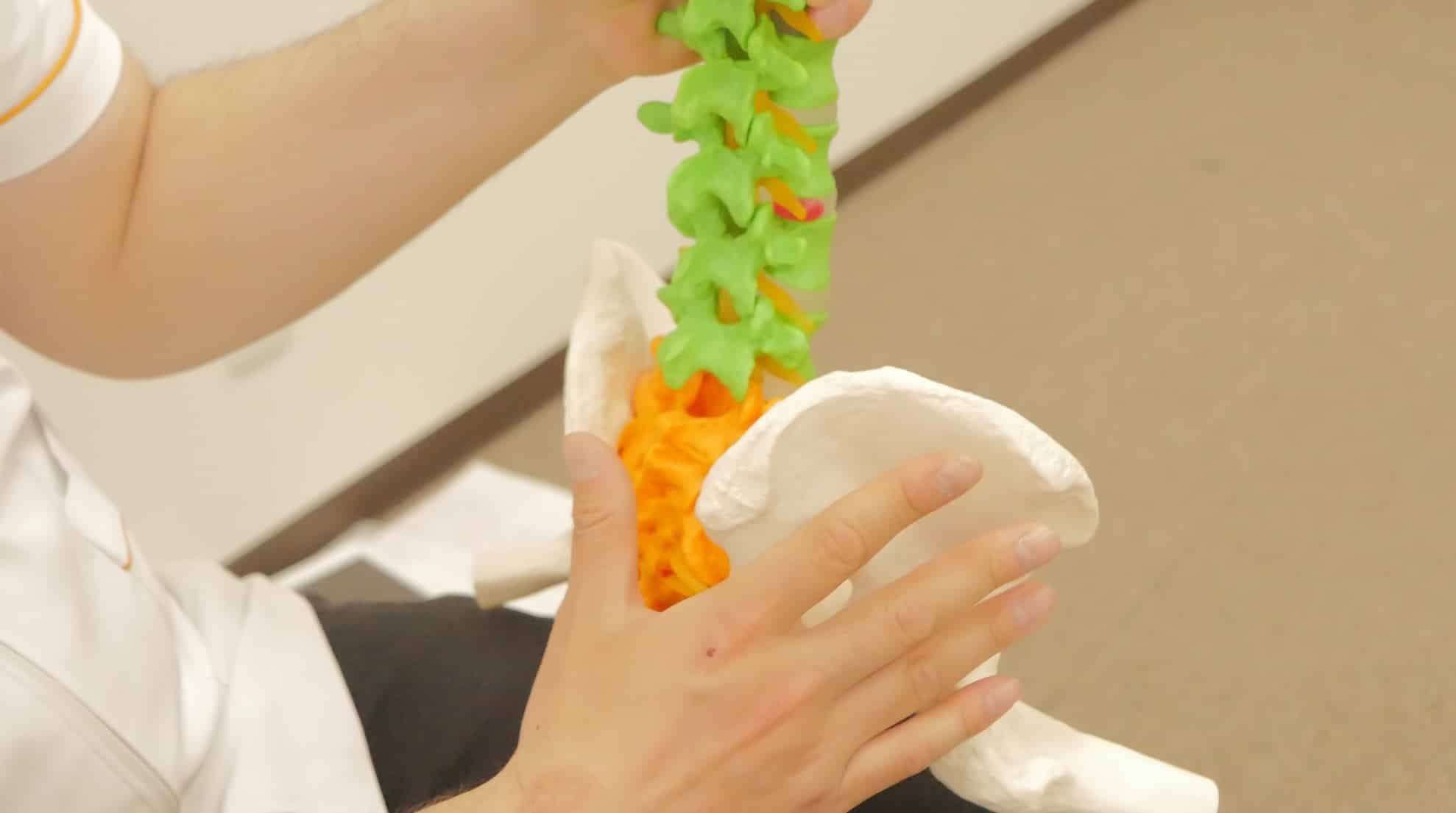 鶴岡市の腰痛整骨院 腰痛の説明画像